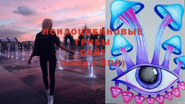ГАЛЛЮЦИНОГЕННЫЕ ГРИБЫ Алексеевка