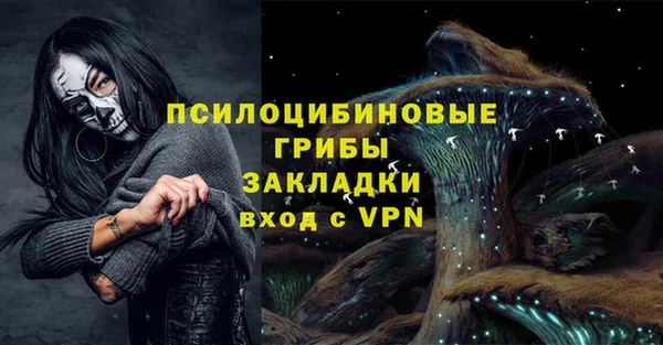 ГАЛЛЮЦИНОГЕННЫЕ ГРИБЫ Алексеевка