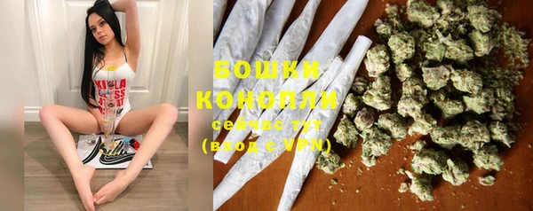 ГАЛЛЮЦИНОГЕННЫЕ ГРИБЫ Алексеевка