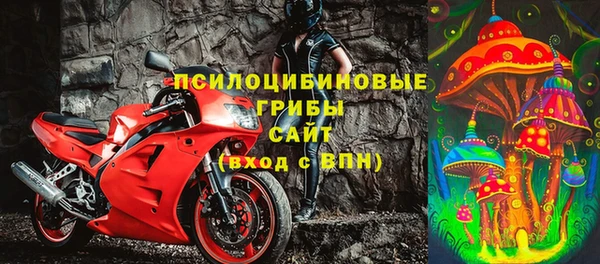 ГАЛЛЮЦИНОГЕННЫЕ ГРИБЫ Алексеевка