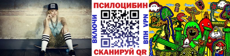 где купить Юрьевец Галлюциногенные грибы GOLDEN TEACHER